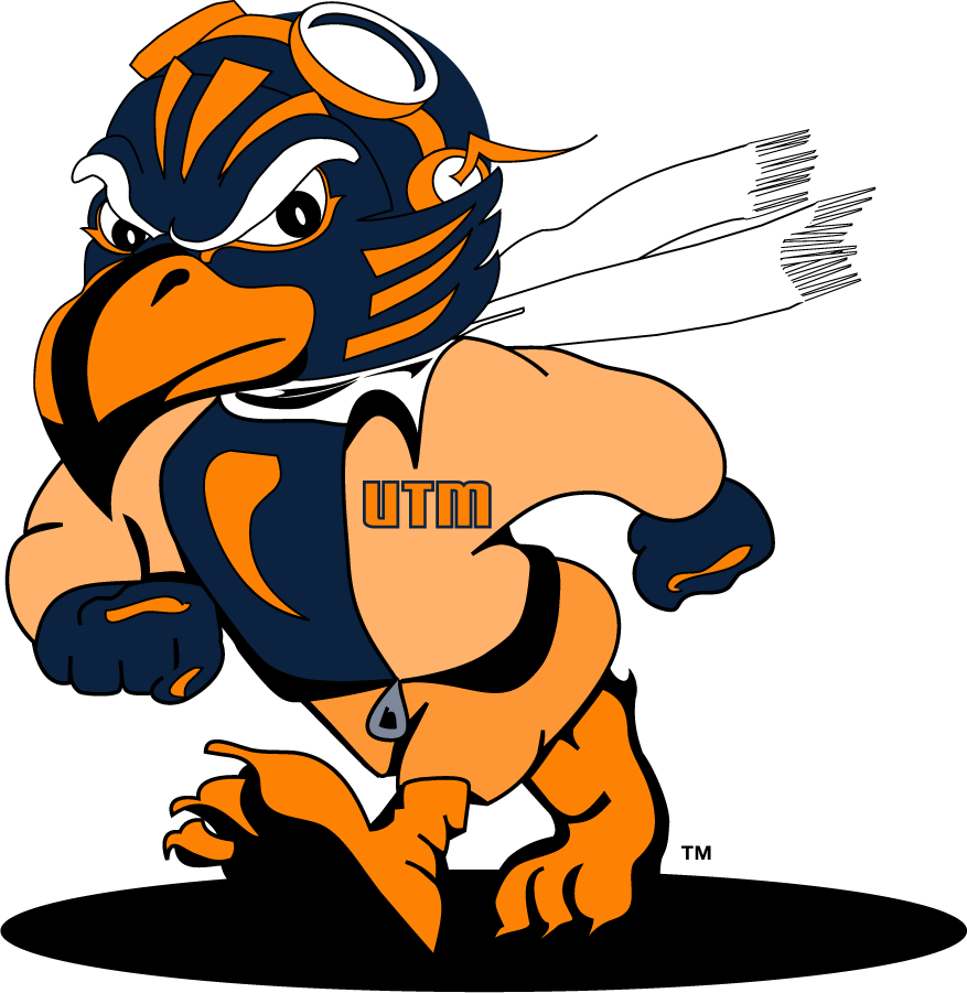 Tennessee-Martin Skyhawks 2007-2020 Mascot Logo v2 diy DTF decal sticker